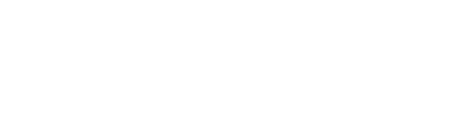 newte-web-agency